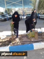 روز درختکاری 4