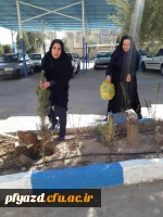 روز درختکاری 5