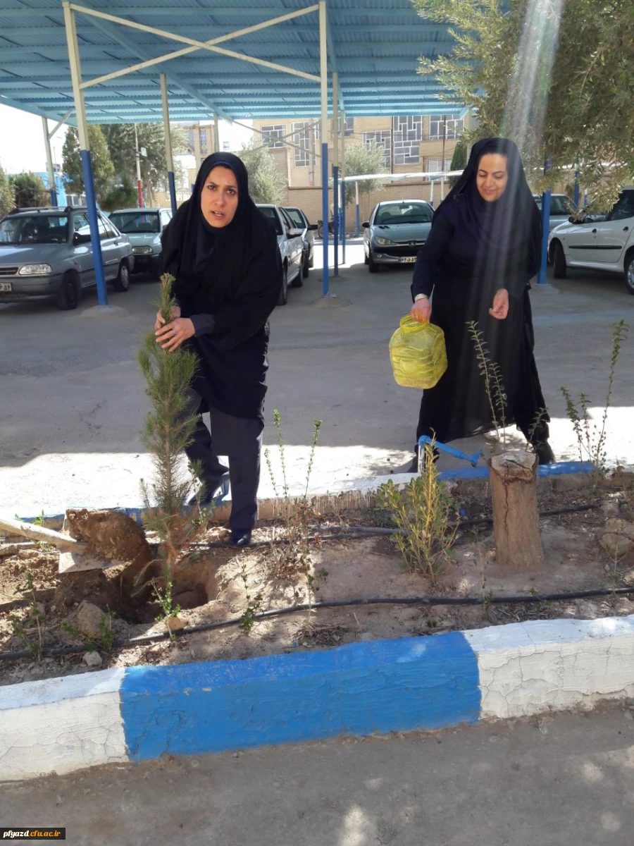 روز درختکاری 5