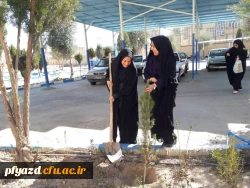 روز درختکاری 6