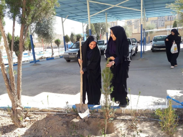 روز درختکاری 6