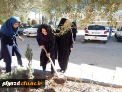 روز درختکاری 7