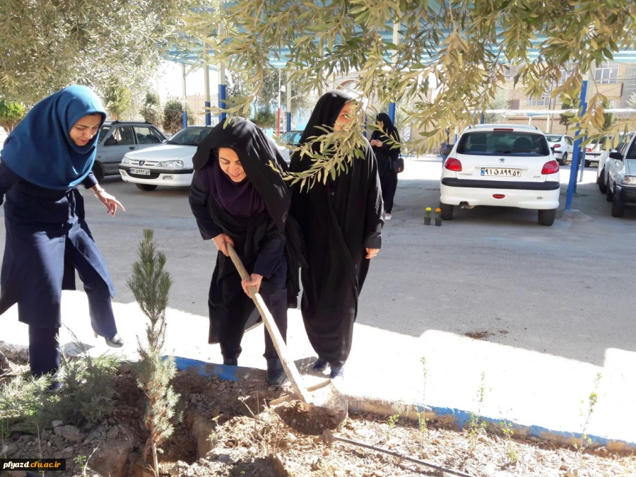 روز درختکاری 7