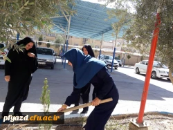 روز درختکاری 8