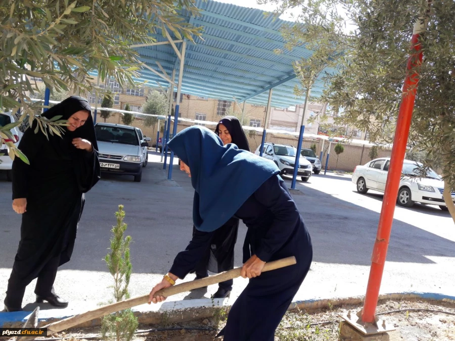 روز درختکاری 8