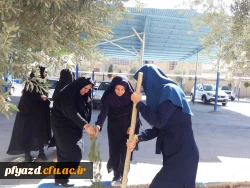 روز درختکاری 9