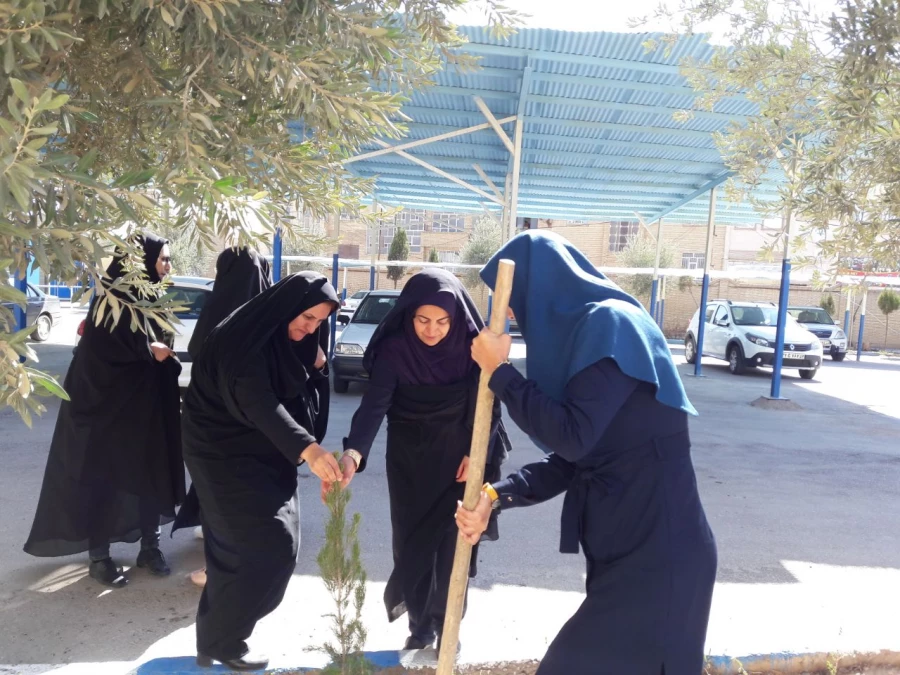 روز درختکاری 9