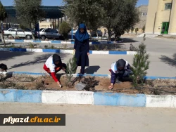 روز درختکاری 10