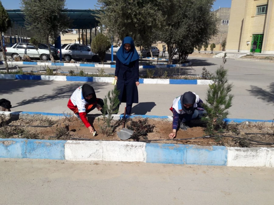 روز درختکاری 10