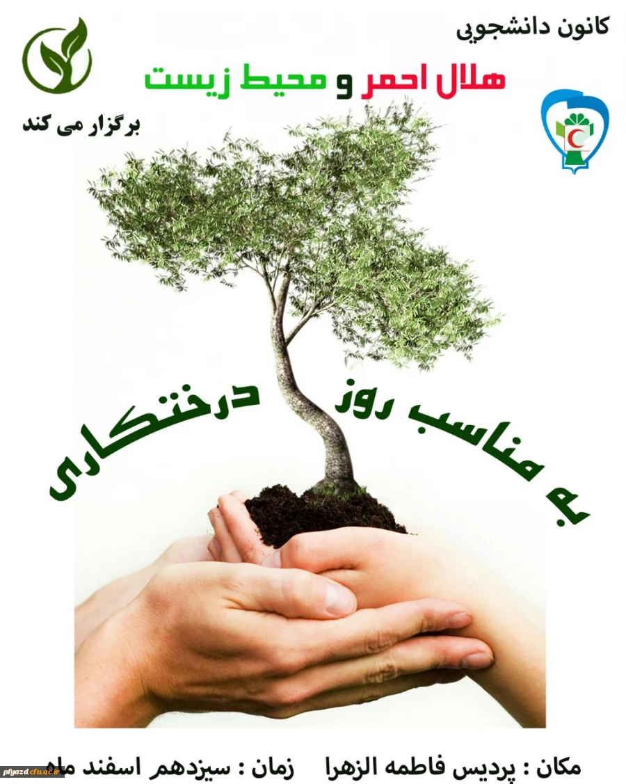 روز درختکاری 11