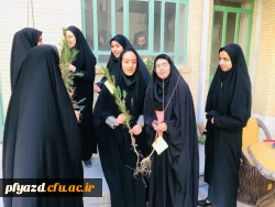 روز درختکاری 12