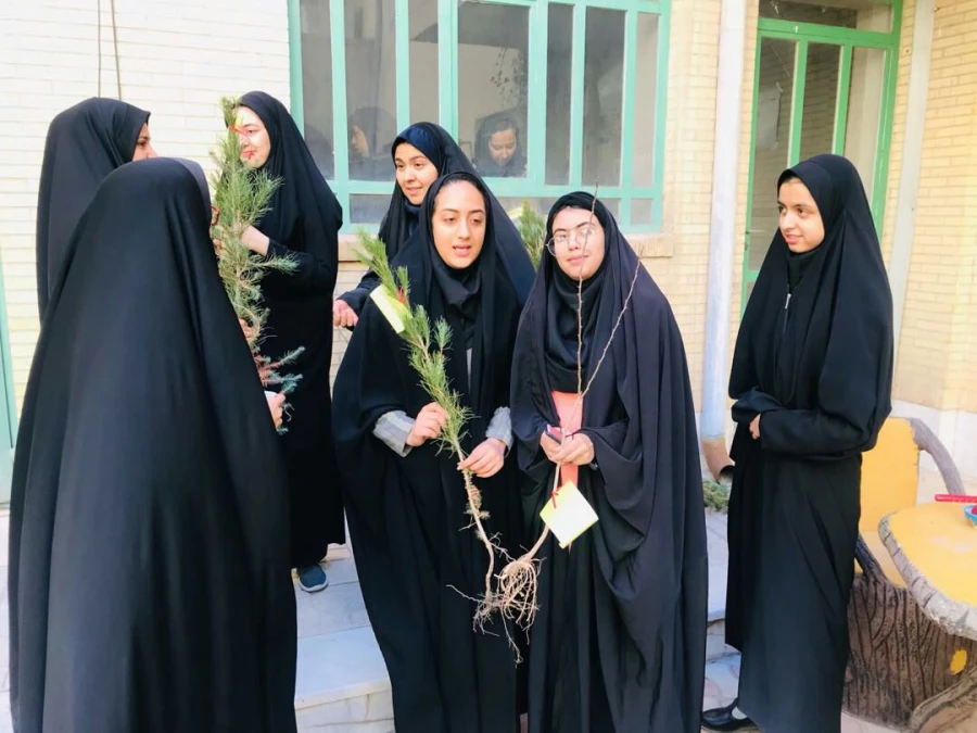 روز درختکاری 12