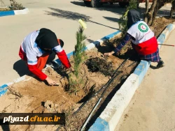 روز درختکاری 13