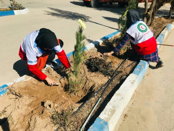 روز درختکاری 13