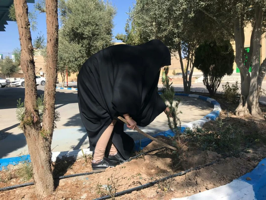 روز درختکاری 14