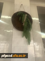 زیباسازی فضای سلف 2