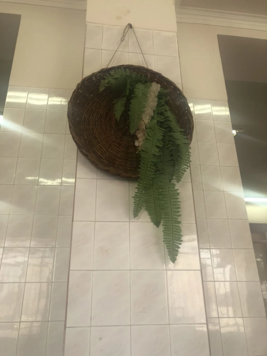 زیباسازی فضای سلف 2