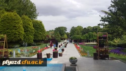 اردوی اصفهان 6