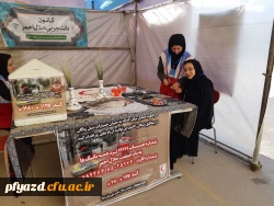 photo5926927806623756547