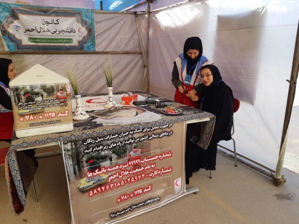 photo5926927806623756547