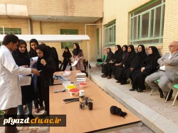 برگزاری ورکشاپ یک روزه کاشی سنتی هفت رنگ 4