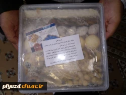 photo5985544489487413368