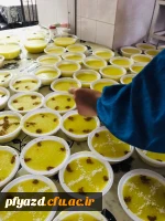 برگزاری مراسم جشن  میلاد امام حسن مجتبی 4