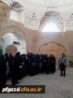 بازدید گروهی از دانشجویان از اماکن تاریخی استان یزد 6