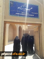 بازدید گروهی از دانشجویان از اماکن تاریخی استان یزد 9