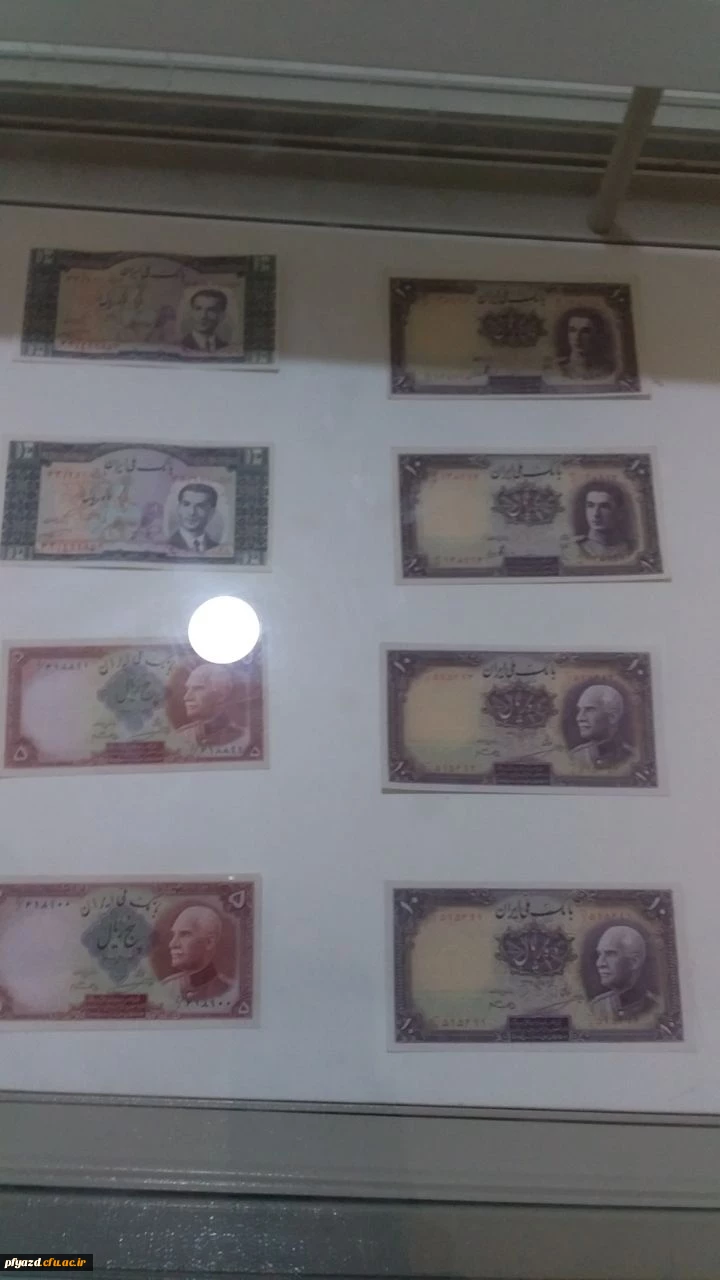 بازدید گروهی از دانشجویان از اماکن تاریخی استان یزد 14