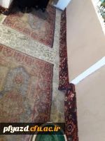 بازدید گروهی از دانشجویان از اماکن تاریخی استان یزد 19