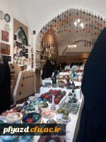 بازدید گروهی از دانشجویان از اماکن تاریخی استان یزد 20