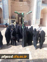 بازدید گروهی از دانشجویان از اماکن تاریخی استان یزد 21