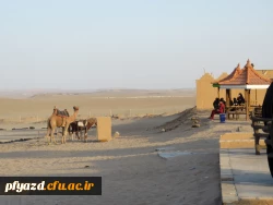 برگزاری اردوی توجیهی- تفریحی دانشجومعلمان ورودی جدید 17