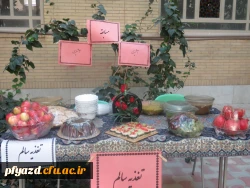 برگزاری جشنواره غذایی و مسابقه آشپزی به مناسبت رو جهانی غذا 4