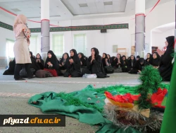 دوشنبه های فرهنگی این هفته با مولودخوانی به مناسبت امامت امام زمان (عج) و آغاز هفته وحدت 11