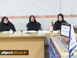 جلسه پروتکل پیشگیری از خودکشی برگزار شد 5