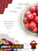 برگزاری مراسم سنتی شب یلدا در خوابگاه 7