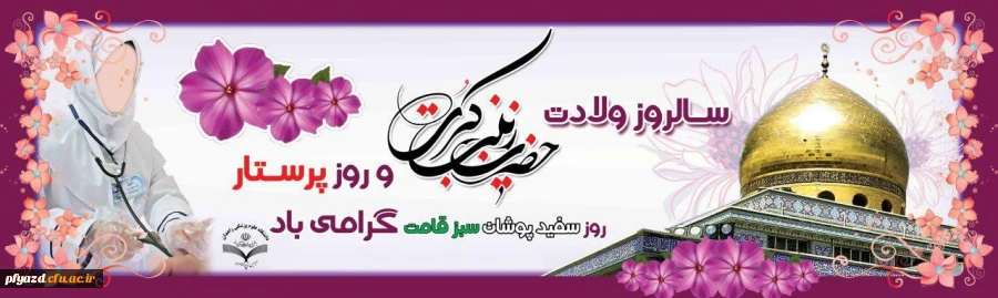 ولادت حضرت زینب کبری و روز پرستار گرامی باد 2
