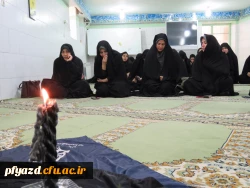 IMG_7118 [1600x1200]