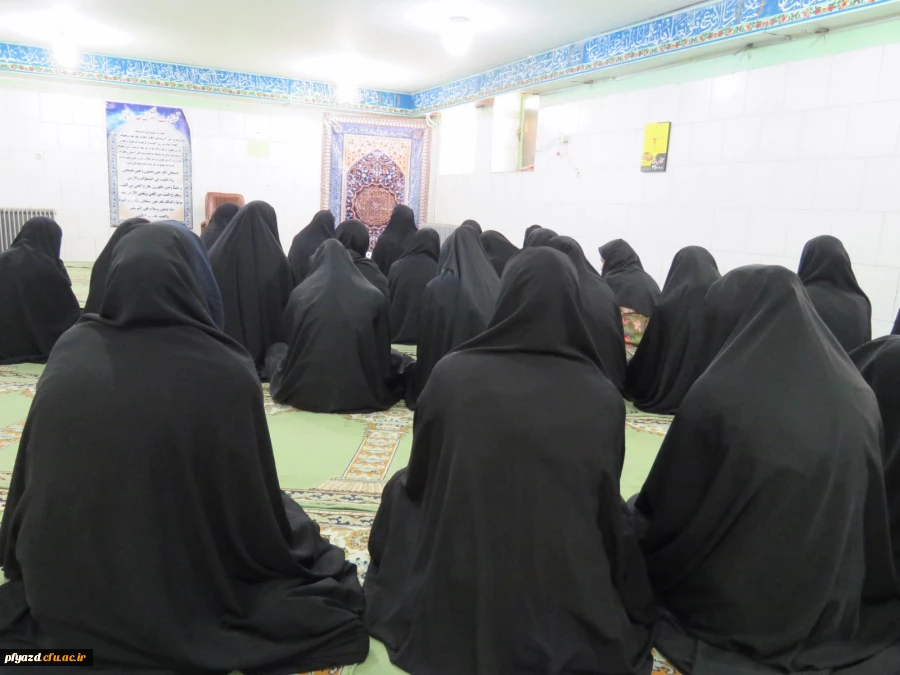 IMG_7125 [1600x1200]