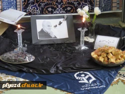 IMG_7145 [1600x1200]