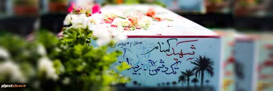 میزبانی از شهید گمنام 2